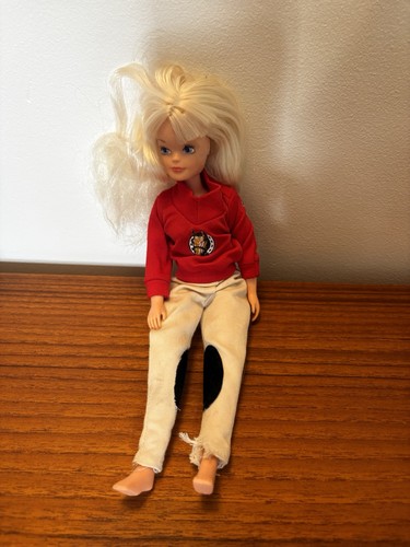 Pedigree sindy doll vintage - vintage, in