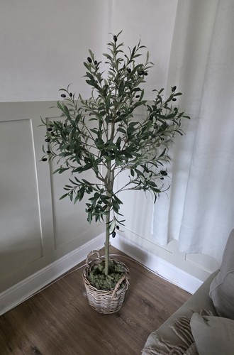 Contempee flowers realistic - -,