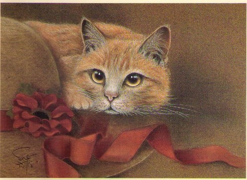 Sue willis bonnington cat - willis, –