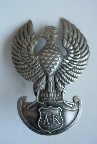 Polish poland home army - home,