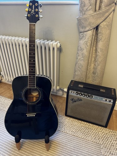 Takamine 334b semi acoustic - g-334b, semi-acoustic