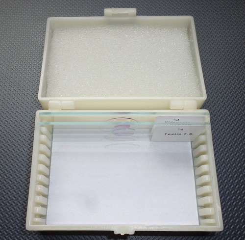 Microscope slides storage box - slides,