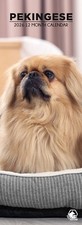 Pekingese Dog 2026 Slim Calendars
