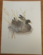 Vintage Mads Stage Print -