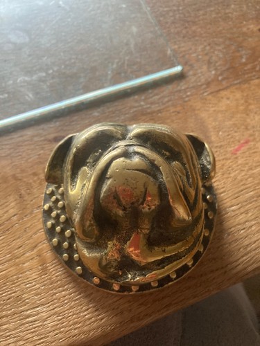 Brass bulldog dog head - dog, door