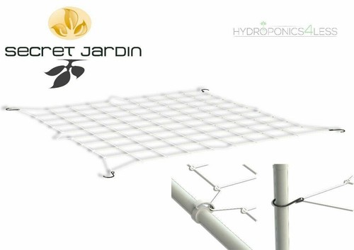 Secret jardin webit - webit, plant