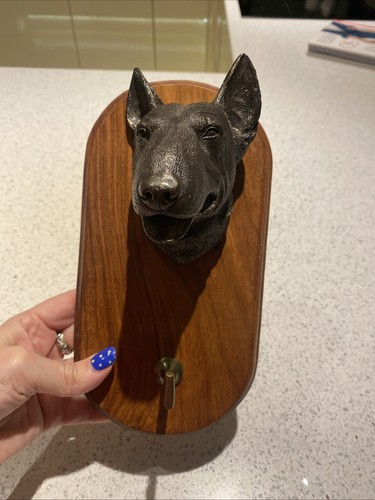 English bull terrier dog - bull, lead