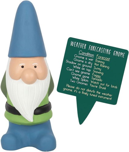 Weather gnome large - gnome,