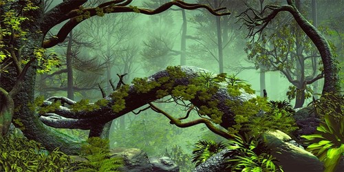 120x50cm reptile habitat - 120x50cm,