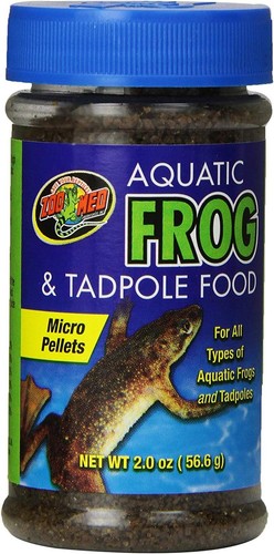 Zoo med aquatic frog tadpole - frog,