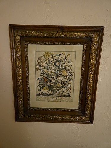 Antique engraved sept flora - antique, sept.