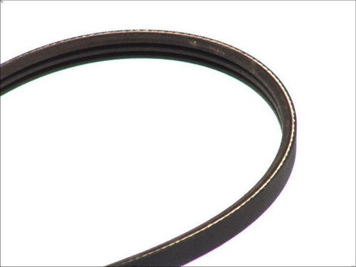 Ribbed bel contitech - bel,