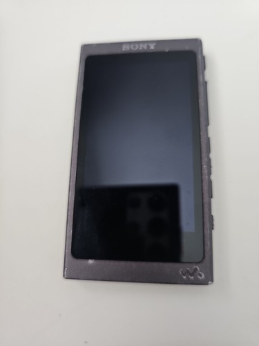 Sony a45 digital audio - nw-a45,