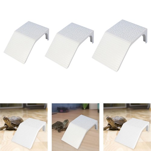 Tortoise ramp decoration - tortoise,