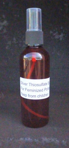 4oz sts silver thiosulfate - sts/,