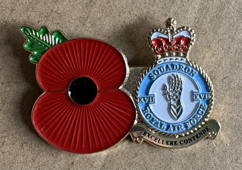 Rare squadron royal - squadron, force