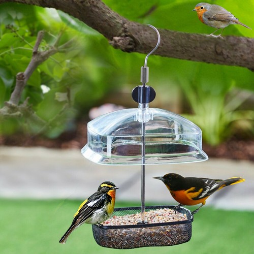 Hanging wild bird feeder - wild,