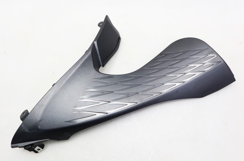 Right side fairing cover - side,