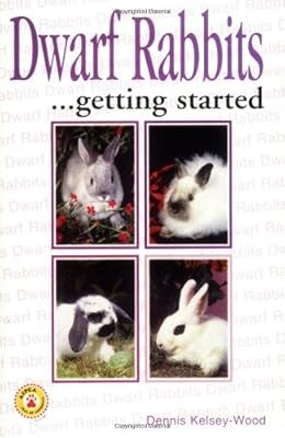Dwarf rabbits hobby save - a, (save
