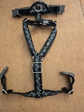 Hurtta Razzle Dazzle Dog