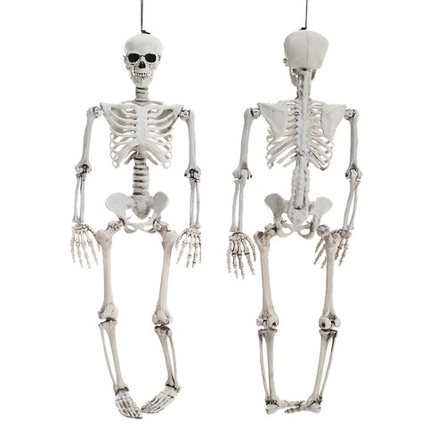 90cm halloween skeleton - halloween, prop