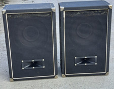 Pair of Guitar Cabs with