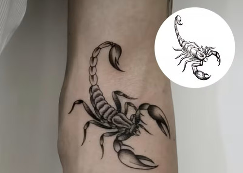 Scorpion temporary tattoo - tattoo, |