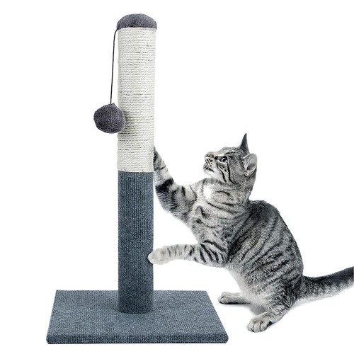 Tall large cat - large, post