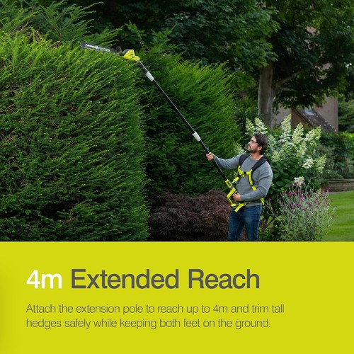 Ryobi one cordless - cordless, pole