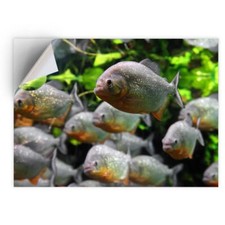 1 x Vinyl Sticker A5 -