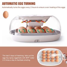 16 Egg Incubator With