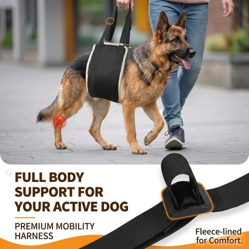 Pet dog mobility aids support - pet,