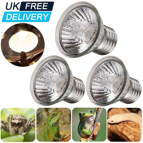 Reptile light bulb heat - light,