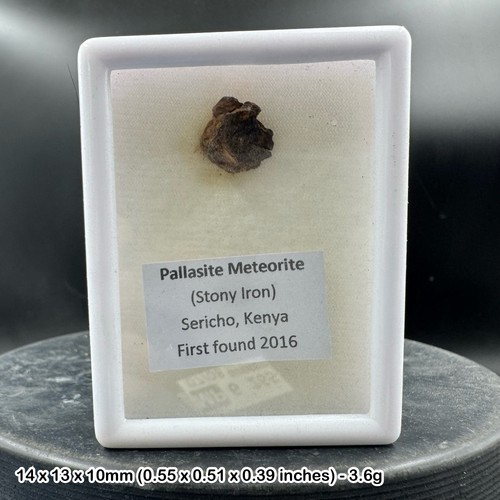 Sericho pallasite space rock - pallasite,