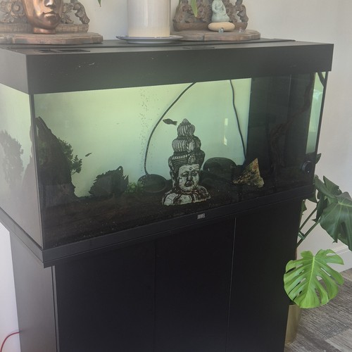 Juwel rio 240l fish tank - 240l,