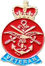 ARMED FORCE pin badge VETERAN