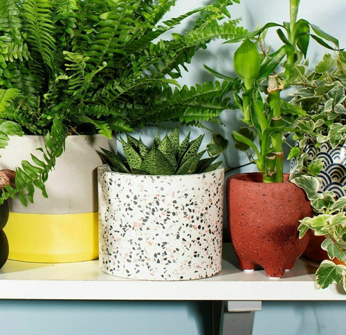 Terrazzo planter pink grey - terrazzo,