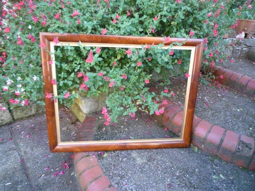 19th century burr walnut - 19th,