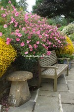 Cottage Garden Staddle Stones Photo Mounted Print A4/A3 Poster A5 Greetings Card