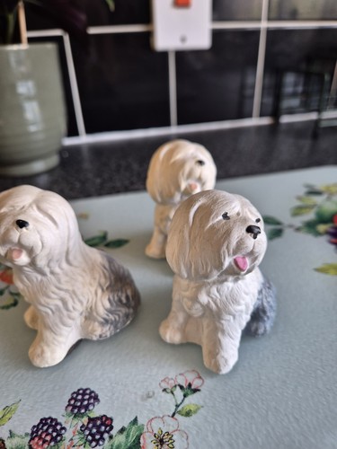 Old english sheepdog - old,