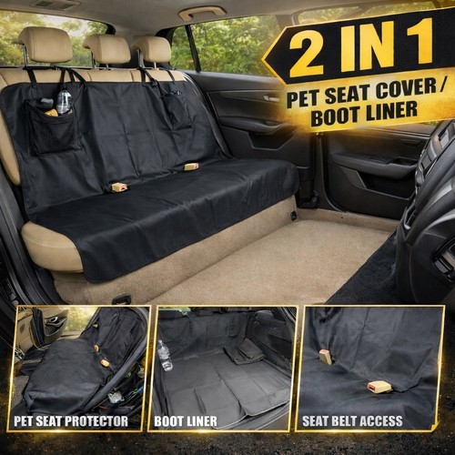 Rear back seat - back, dog