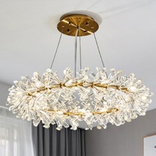 Modern Luxury Ceiling Lights