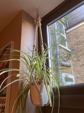 Macrame Plant Hanger 120cm