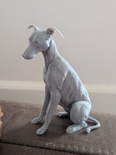 Greyhound Lurcher Whippet Dog