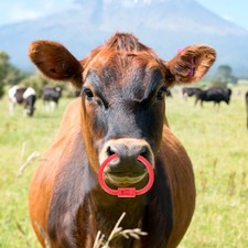  Plastic Cattle Nose Ring Cow Nose Ring Livestock Nose Ring Plastic Spring Cow