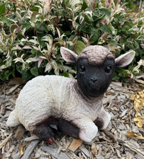 SUFFOLK SHEEP LAMB ANIMAL