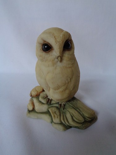 Teviotdale owl rocks - teviotdale, rocks'