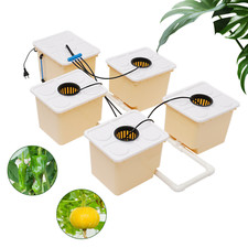 Indoor Aeroponic Plant Site