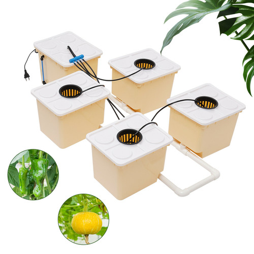 Indoor aeroponic plant site - indoor,