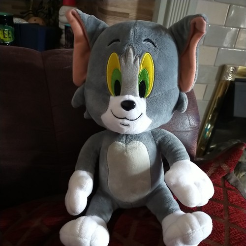 Tom and jerry cat - and, grey